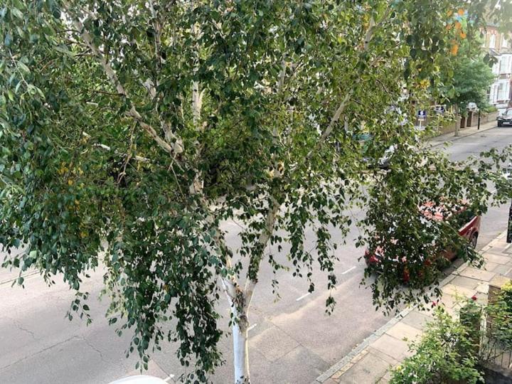 Lovely Spacious 1-Bedroom Flat In Tufnell Park Close To Central Лондон Экстерьер фото